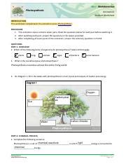 Hhmi Photosynthesis Worksheet Answer Key
